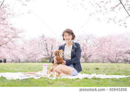 寵物狗和櫻花觀賞第 1 部分 92645898