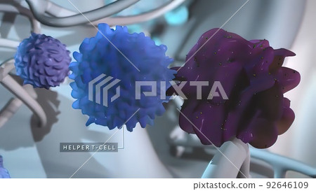 3D Medical of Immunotherapy. 3D Medical of Immunotherapy. 92646109