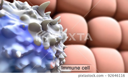 Human immune system virus 3d 92646116