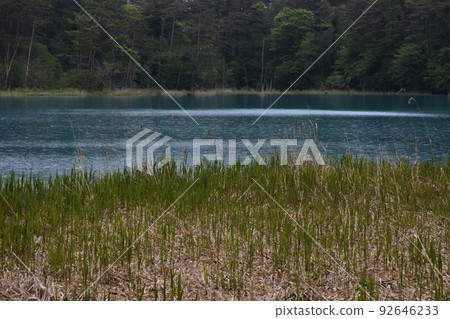 Tohoku, Fukushima, Urabandai, Goshiki-numa, nature, walking trail, Mt. Bandai, highland, lake, resort, eruption, lake Tohoku, Fukushima, Urabandai, Goshiki-numa, nature, walking trail, Mt. Bandai, highland, lake, resort, eruption, lake 92646233