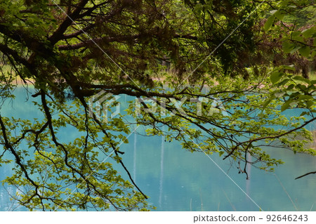 Tohoku, Fukushima, Urabandai, Goshiki-numa, nature, walking trail, Mt. Bandai, highland, lake, resort, eruption, lake Tohoku, Fukushima, Urabandai, Goshiki-numa, nature, walking trail, Mt. Bandai, highland, lake, resort, eruption, lake 92646243