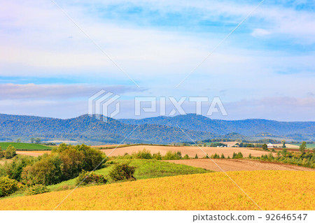 View from Shinei no Oka Observatory Park "Autumn Hokkaido" 92646547