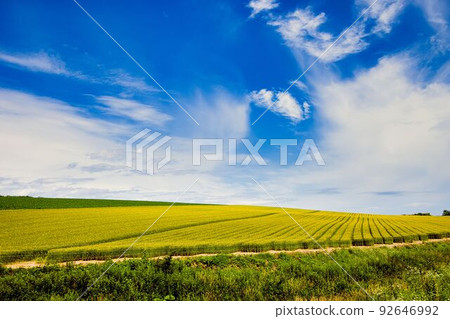 Magnificent scenery of Biei, Hokkaido Magnificent scenery of Biei, Hokkaido 92646992