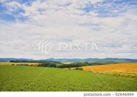 Magnificent scenery of Biei, Hokkaido Magnificent scenery of Biei, Hokkaido 92646994