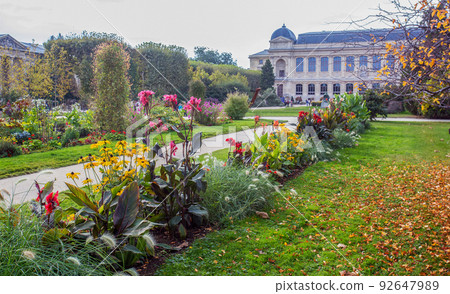Orange and red canna indian and yellow rudbeckia flowers and other amazing flowering in autumn garden of plants in Paris! Orange and red canna indian and yellow rudbeckia flowers and other amazing flowering in autumn garden of plants in Paris! 92647989