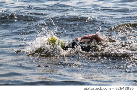 Person swimming and splashing swimming in the great south bay 92648956