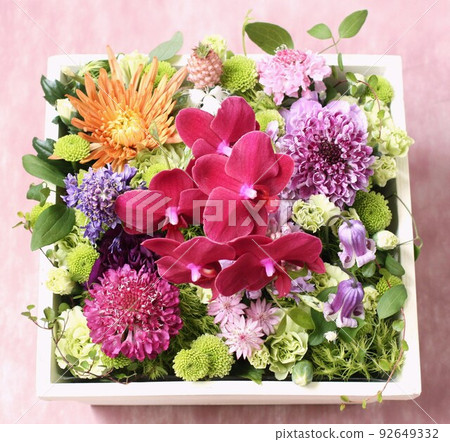 bloom, blossom, blossoms 92649332