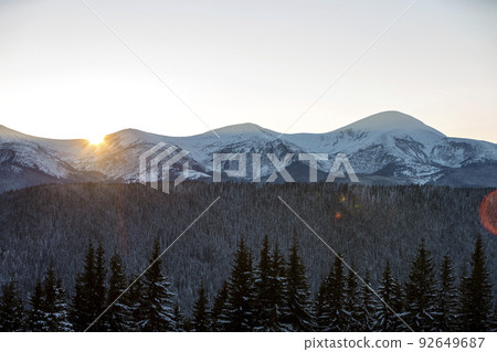 Winter mountains landscape panorama at sunrise. Clear blue sky over dark spruce pine trees forest, covered with snow mountain ridge peaks, bright rays of raising sun at dawn. 92649687