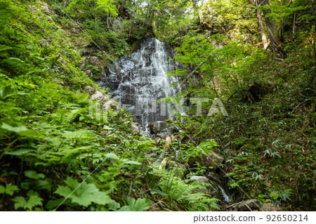 綠意盎然的尾瀨檜枝檜枝瀑布 92650214