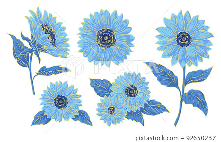 Sunflower illustration material set, line drawing and coloring, blue flowers, flower illustration elements, vector data. 92650237