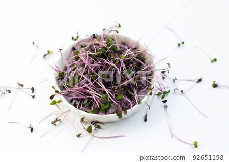 Organic red cabbage sprouts on white background. Organic red cabbage sprouts on white background. 92651198