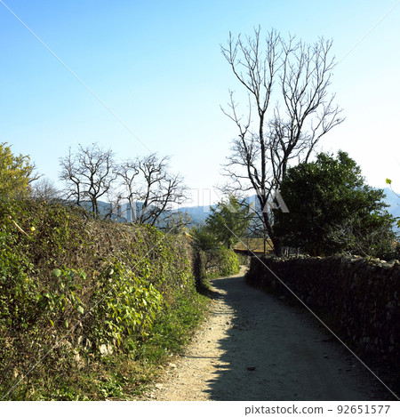 鄉村道路 鄉村道路 92651577