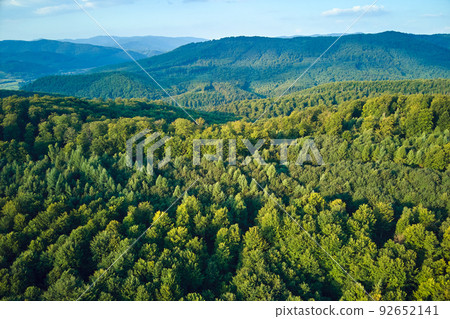 Aerial view of mountain hills covered with dense green lush woods on bright summer day. 92652141