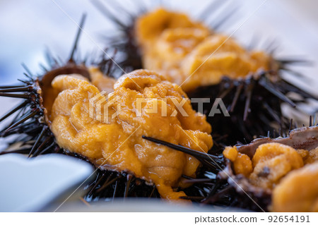 A set meal where you can eat live sea urchin as it is (Aomori City, Aomori Prefecture) 92654191