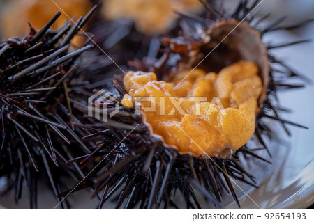 Live sea urchin set meal (Aomori City, Aomori Prefecture) Up Live sea urchin set meal (Aomori City, Aomori Prefecture) Up 92654193