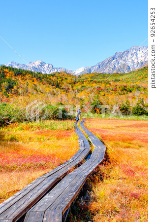 Tsugaike自然花園(秋季) Tsugaike自然花園(秋季) 92654253