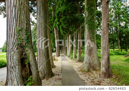 Karamatsu Shrine Suginamiki Daisen City, Akita Prefecture 92654483