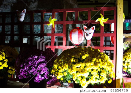 Chrysanthemum illuminated, fox mask and windmill Kasama Chrysanthemum Festival Chrysanthemum illuminated, fox mask and windmill Kasama Chrysanthemum Festival 92654739