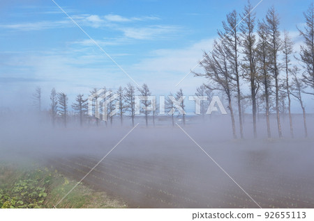 藍天下的淺霧(北海道東部) 藍天下的淺霧(北海道東部) 92655113
