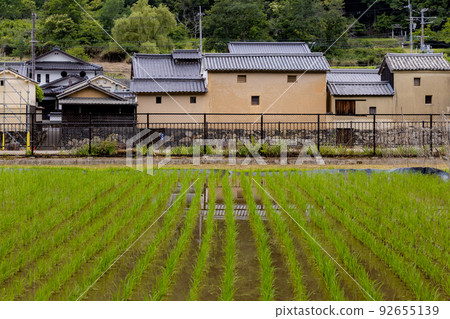 Hirafuku Kawabata Storehouses and Rice Fields in Sayo Town Hirafuku Kawabata Storehouses and Rice Fields in Sayo Town 92655139