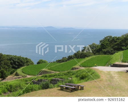 夏天的豐島 92655162