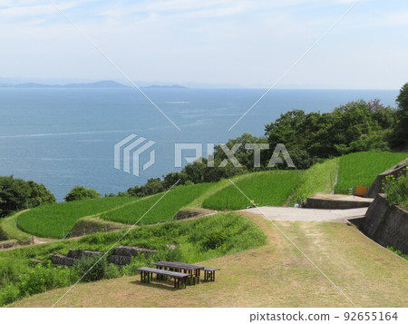 夏天的豐島 92655164