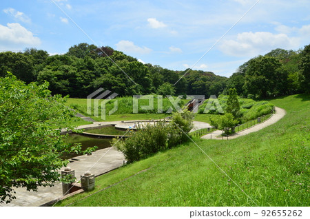 Summer in Nagaike Park Hachioji City Summer in Nagaike Park Hachioji City 92655262
