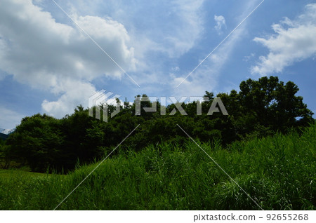 Summer in Nagaike Park Hachioji City Summer in Nagaike Park Hachioji City 92655268