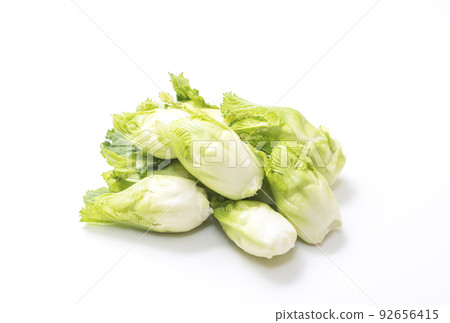 Kodakana, Komochi Takana, Tsubomina, Leafy Vegetables, Healthy Vegetables, Winter Vegetables, Freshly Harvested Vegetables 92656415