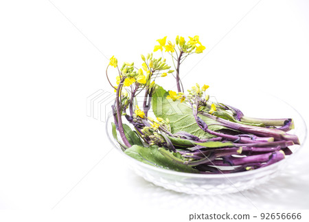 Kosaitai, Kosaitai, Beninako, Beninahana, Healthy Vegetables, Winter Vegetables, Freshly Picked Vegetables Kosaitai, Kosaitai, Beninako, Beninahana, Healthy Vegetables, Winter Vegetables, Freshly Picked Vegetables 92656666