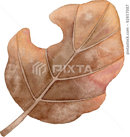 Illustration of dead leaves Illustration of dead leaves 92657087