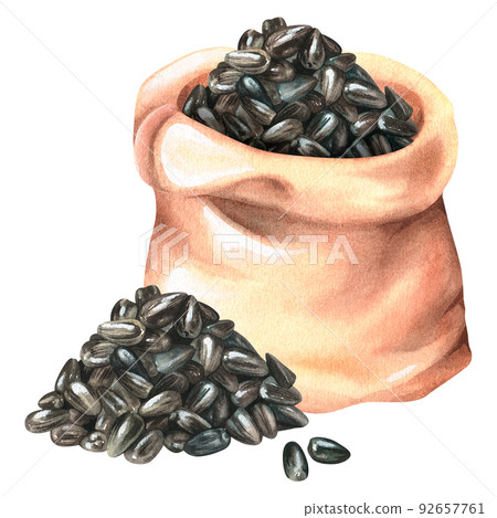A bag of sunflower seeds. Watercolor illustration. Isolated on a white background. For design. 92657761