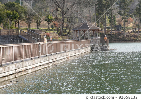 大正池湖畔 92658132