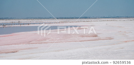 Pink salt crystals. Natural pink salt lake texture. Salt mining. Extremely salty pink lake, colored by microalgae with crystalline salt depositions 92659536