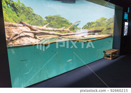 American Mink Salmon Hometown Chitose Aquarium 92660215