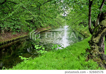 Hirosaki Park Historic Hirosaki Castle Ruins Outer Moat Hirosaki City, Aomori Prefecture Hirosaki Park Historic Hirosaki Castle Ruins Outer Moat Hirosaki City, Aomori Prefecture 92660576