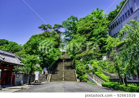 東京表參道池上本門寺 96 級石階 東京表參道池上本門寺 96 級石階 92661016