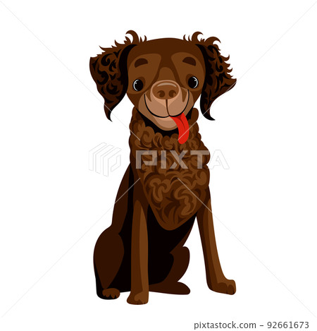 Curly-coated retriever vector funny cartoon dog Curly-coated retriever vector funny cartoon dog 92661673