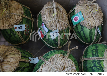Nyuzen jumbo watermelon 92662007