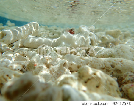 Coral ground on Barasu Island, Iriomote Island, seen from the sea Coral ground on Barasu Island, Iriomote Island, seen from the sea 92662578