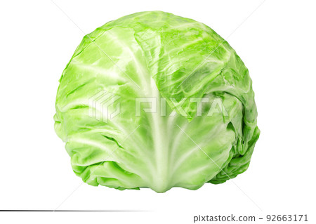 Head of young cabbage, isolated on white background, full depth of field 92663171