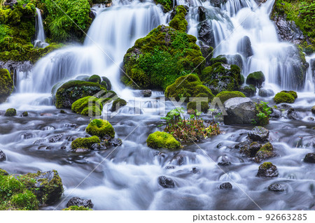 [Hokkaido: Top 100 Famous Waters] Summer Yotei Fukidashi Spring Water that has permeated the foot of Mt. Yotei for over 50 years 92663285