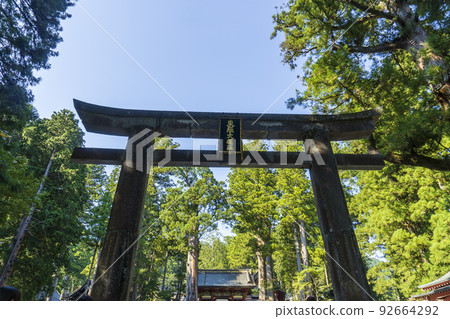 [World Heritage] First Torii of Nikko Toshogu Shrine / Nikko City, Tochigi Prefecture 92664292