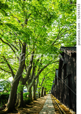[Sakata City, Yamagata Prefecture] Sankyo Warehouse (low-temperature controlled warehouse) 92664363