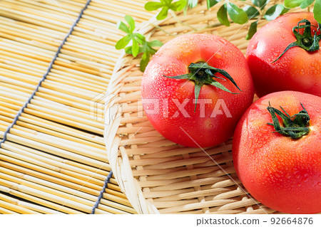Tomato Tomato 92664876