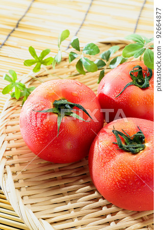 Tomato   92664877