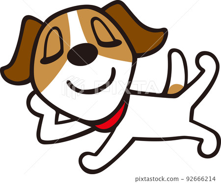 Jack Russell Terrier dog lying down and relaxing pose 92666214