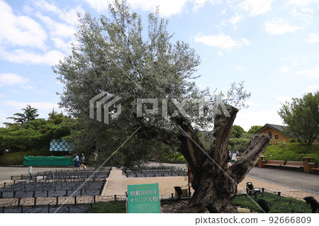 三重縣桑名市長島町名花之裡 92666809