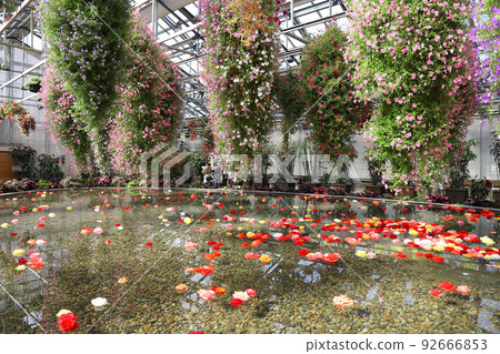 Nabana no Sato, Nagashima Town, Kuwana City, Mie Prefecture 92666853