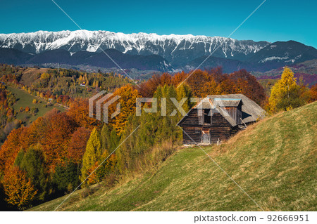 Autumn scenery with colorful deciduous forest and snowy mountains, Romania 92666951